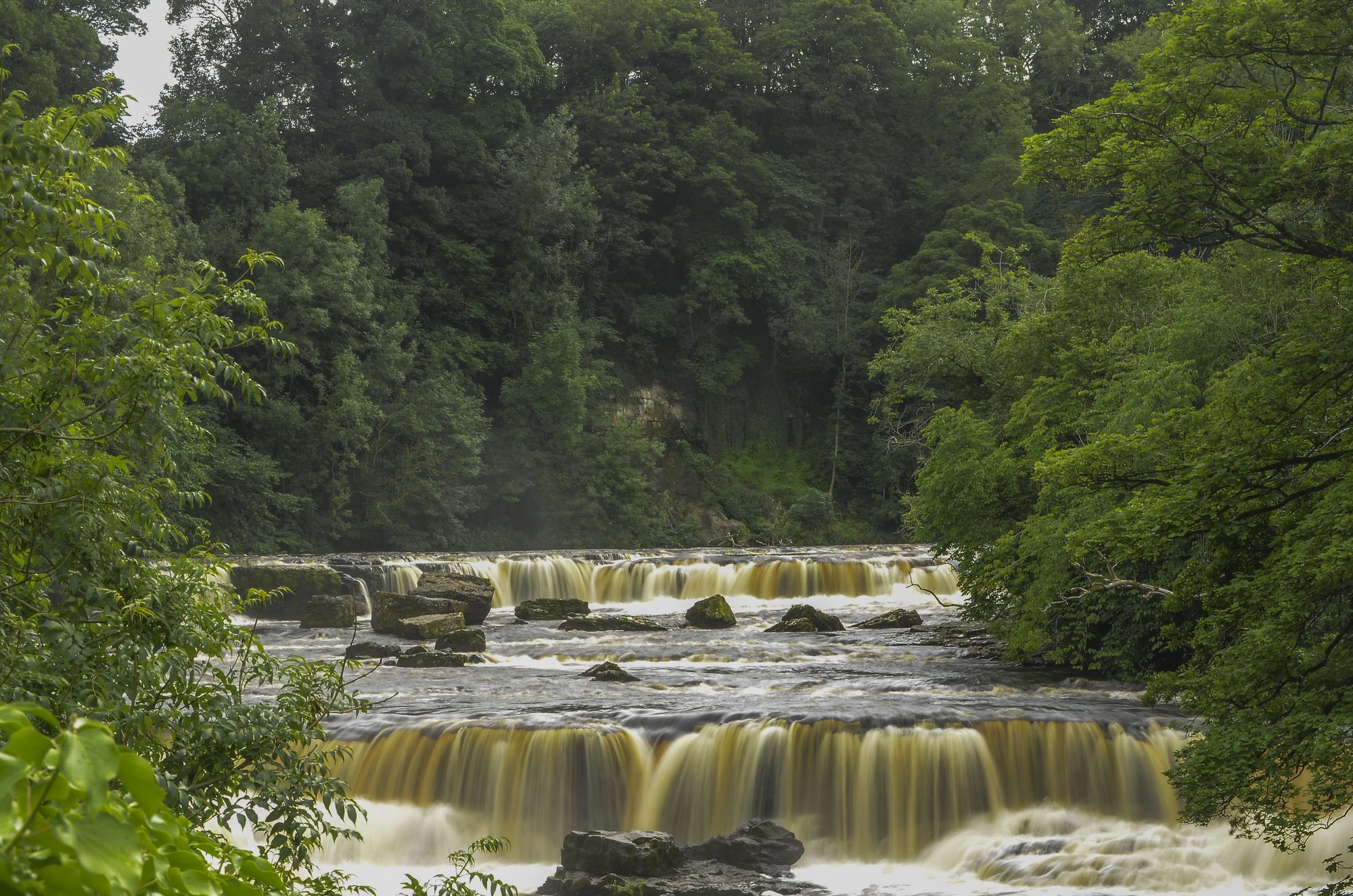 Long-exposure waterfall cascading between green woodland