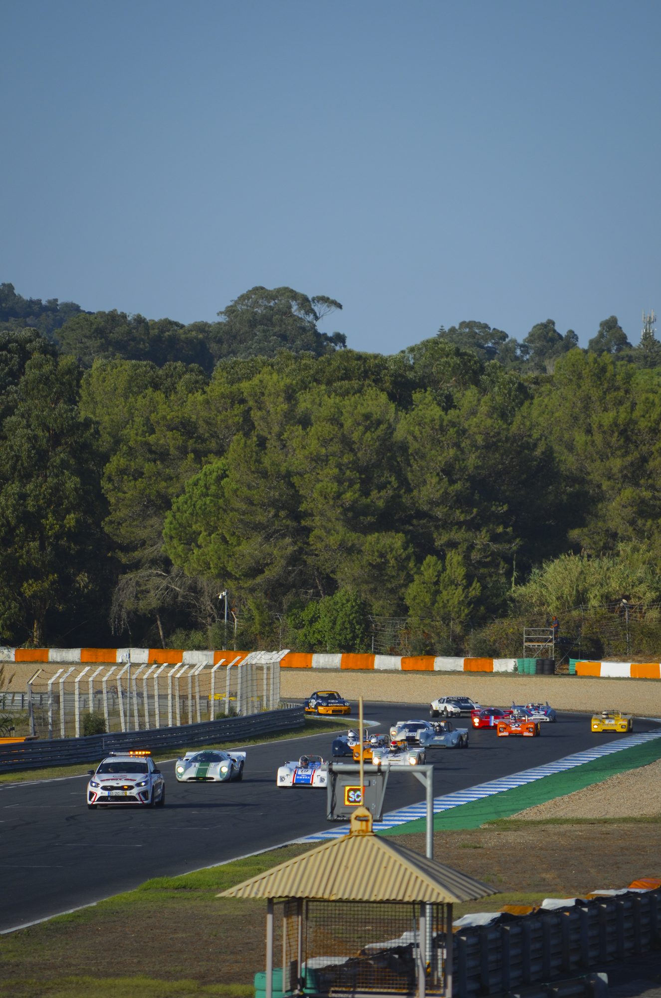 Touring cars racing on a circuit lined with pine trees